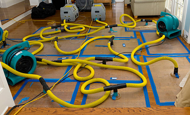 Professional Storm Water Damage Restoration technician working in La Habra, CA